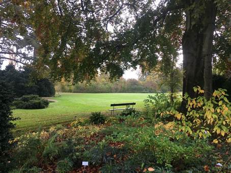 A picture containing tree, grass, outdoor, plant

Description automatically generated