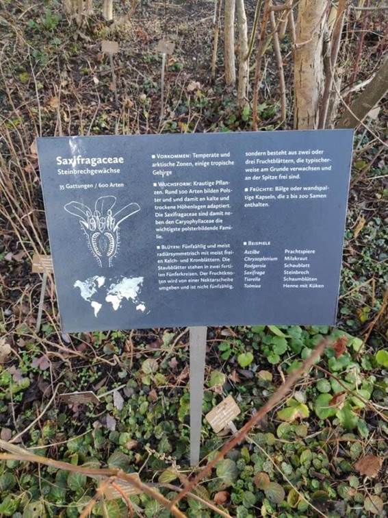 A sign in the woods

Description automatically generated with medium confidence