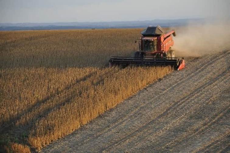 A tractor in a field

Description automatically generated with low confidence